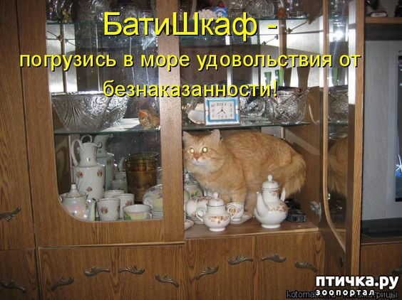 ���� 3: �� ������ ������ ���� �������!