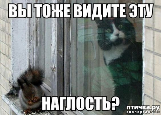 ���� 5: �� ������ ������ ���� �������!