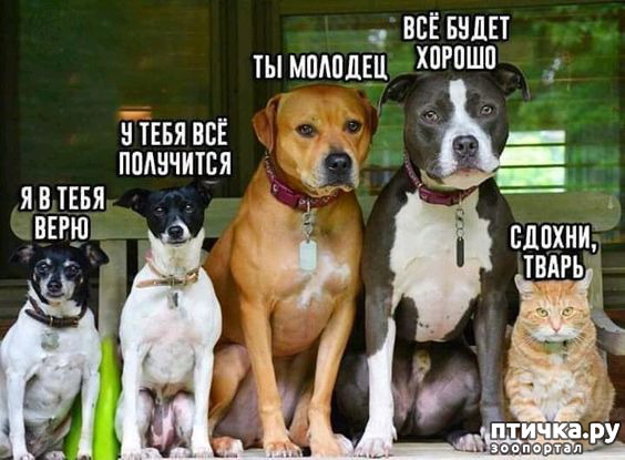 ���� 6: �� ������ ������ ���� �������!