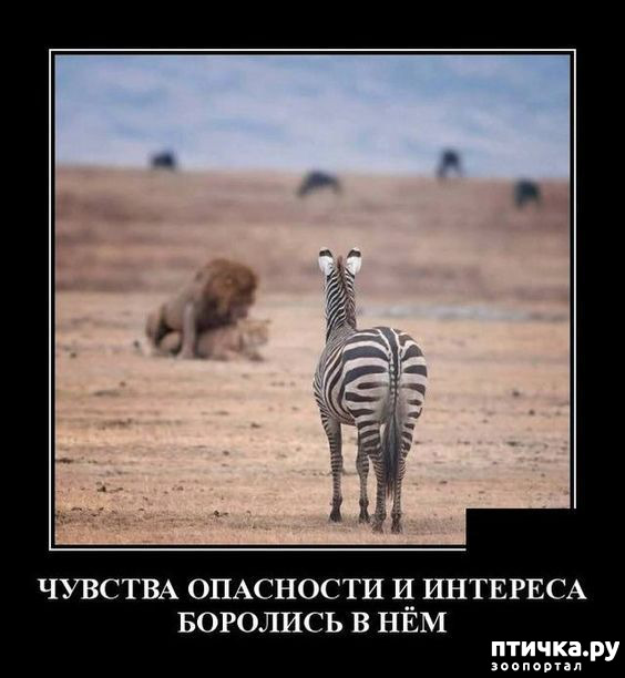 ���� 7: �� ������ ������ ���� �������!