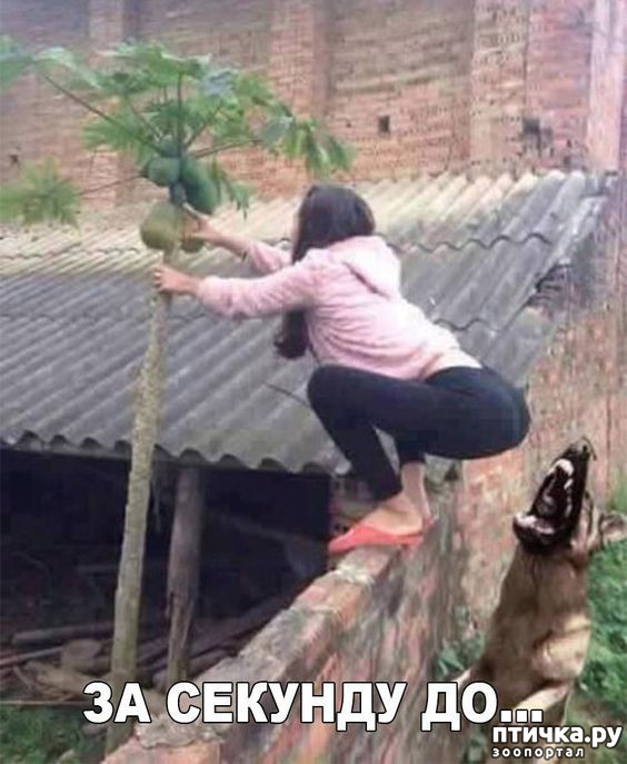 ���� 8: �� ������ ������ ���� �������!