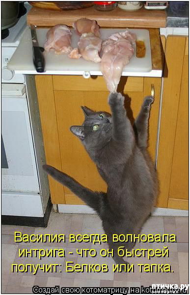 ���� 9: �� ������ ������ ���� �������!