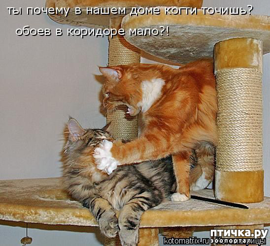 ���� 10: �� ������ ������ ���� �������!