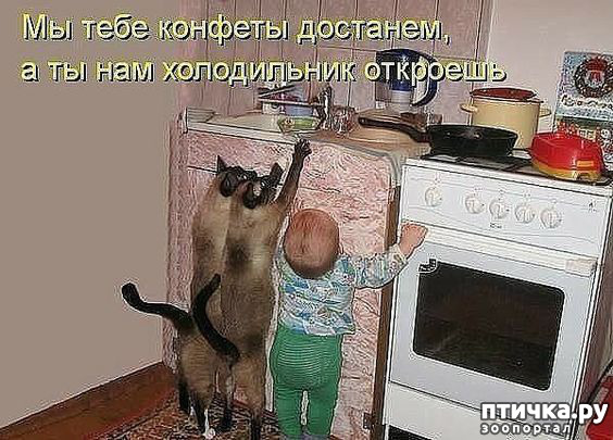 ���� 11: �� ������ ������ ���� �������!