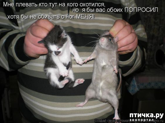 ���� 12: �� ������ ������ ���� �������!