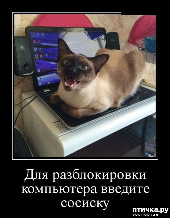 ���� 13: �� ������ ������ ���� �������!