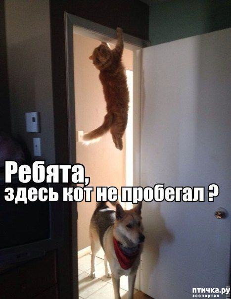 ���� 14: �� ������ ������ ���� �������!