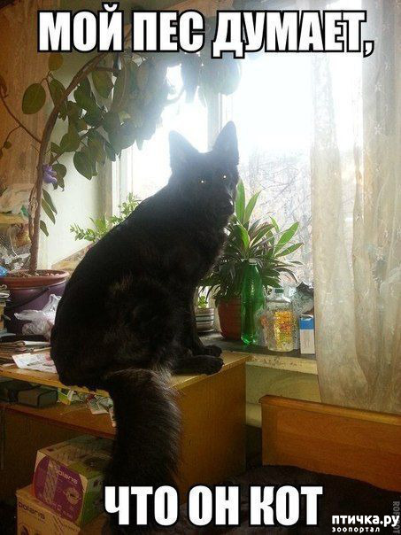 ���� 16: �� ������ ������ ���� �������!