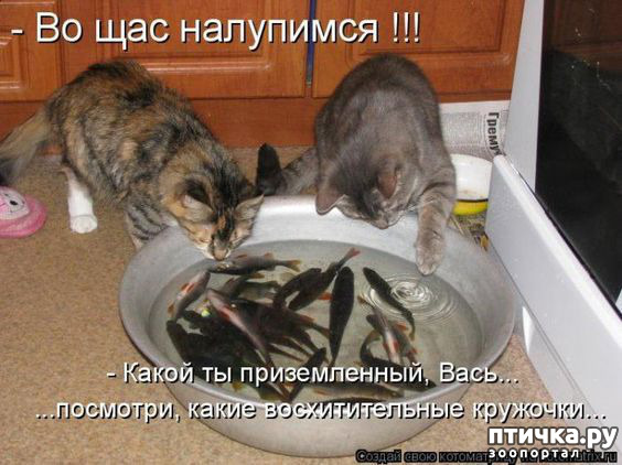 ���� 17: �� ������ ������ ���� �������!