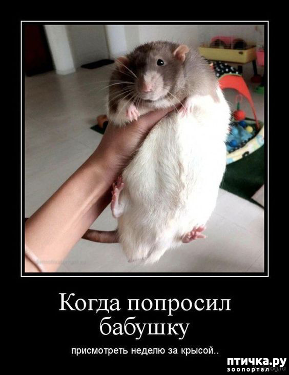 ���� 18: �� ������ ������ ���� �������!