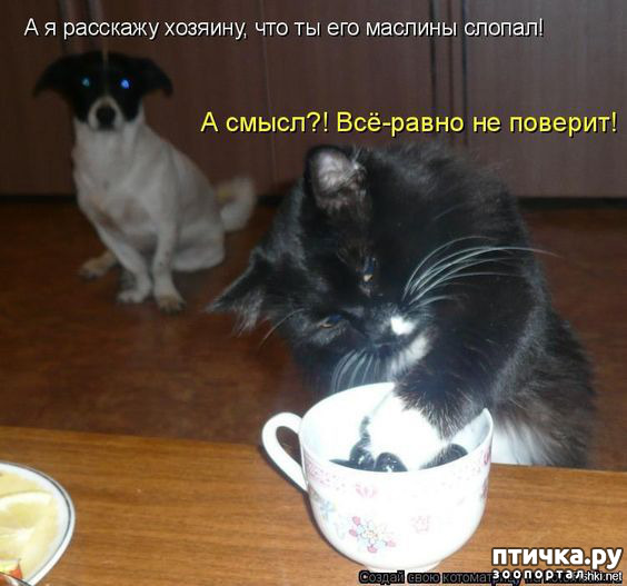 ���� 19: �� ������ ������ ���� �������!