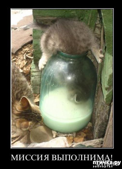 ���� 20: �� ������ ������ ���� �������!