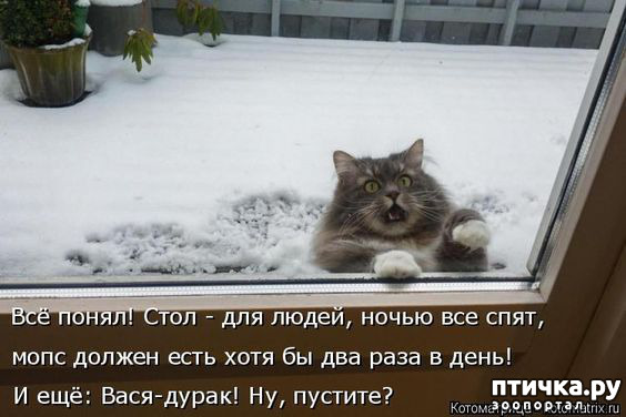 ���� 23: �� ������ ������ ���� �������!