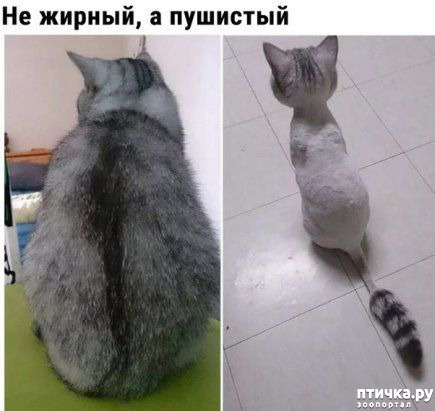 ���� 24: �� ������ ������ ���� �������!