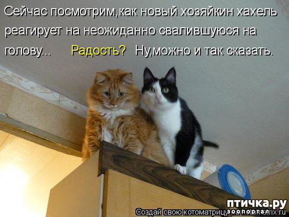 ���� 25: �� ������ ������ ���� �������!