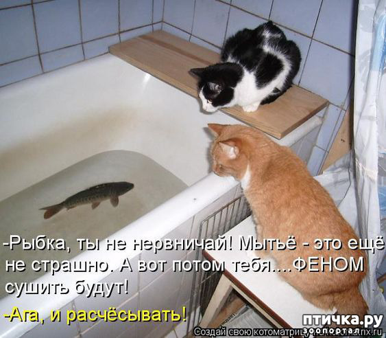 ���� 26: �� ������ ������ ���� �������!