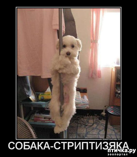 ���� 28: �� ������ ������ ���� �������!