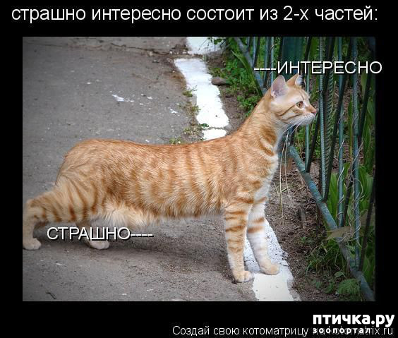 ���� 29: �� ������ ������ ���� �������!