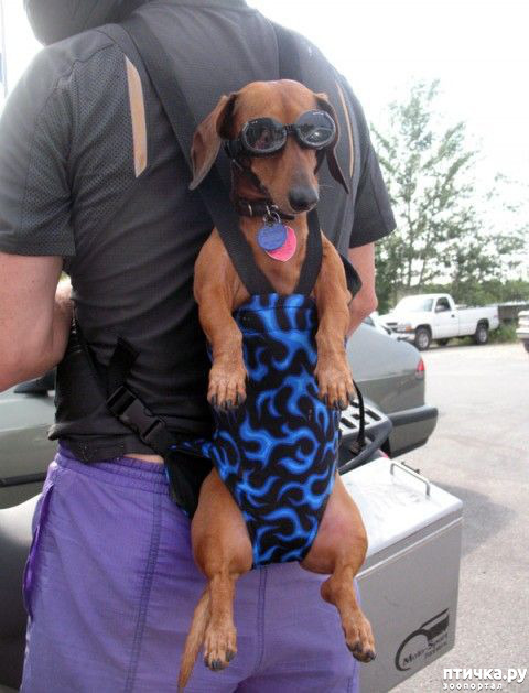 ���� 30: �� ������ ������ ���� �������!