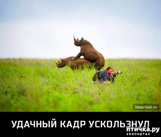 ���� 33: �� ������ ������ ���� �������!