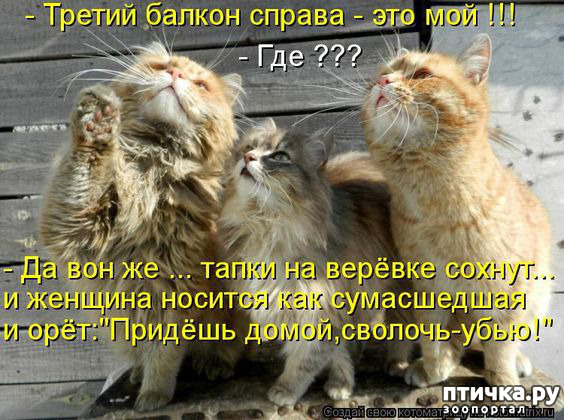 ���� 34: �� ������ ������ ���� �������!