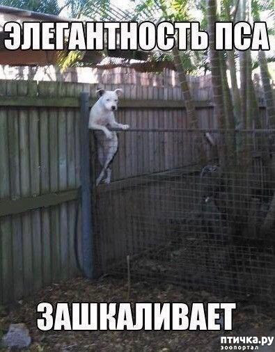 ���� 36: �� ������ ������ ���� �������!