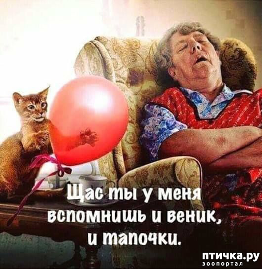 ���� 37: �� ������ ������ ���� �������!