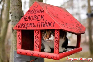 фотография: Умности и всякое другое 4 фото: Умности и всякое другое 4