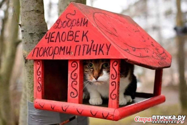 ���� 1: ������� � ������ ������ 4