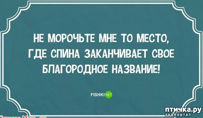 ���� 15: ������� � ������ ������ 4