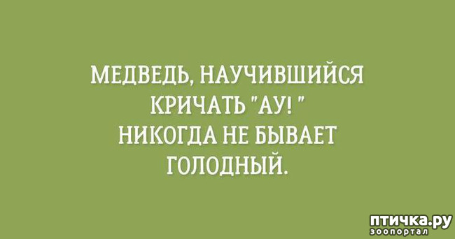 ���� 16: ������� � ������ ������ 4