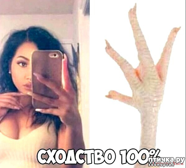 ���� 17: ������� � ������ ������ 4