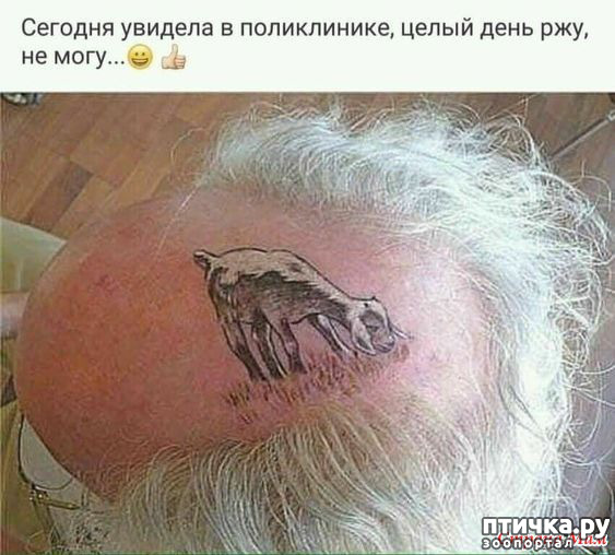 ���� 12: ������� � ������ ������ 4