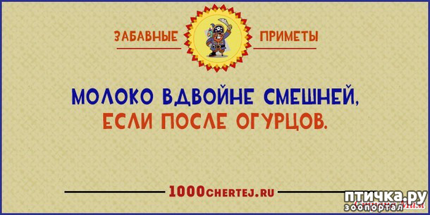 ���� 18: ������� � ������ ������ 4