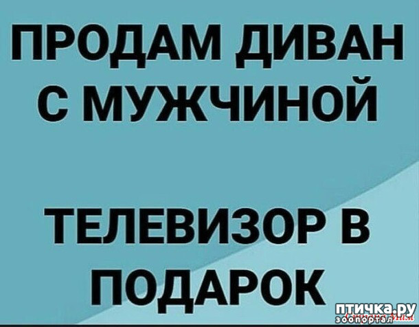 ���� 31: ������� � ������ ������ 4