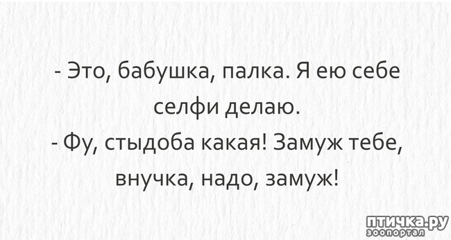 ���� 14: ������� � ������ ������ 4