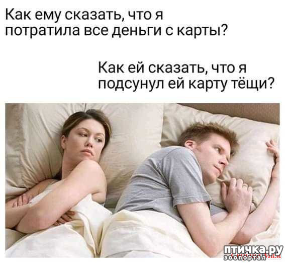 ���� 37: ������� � ������ ������ 4