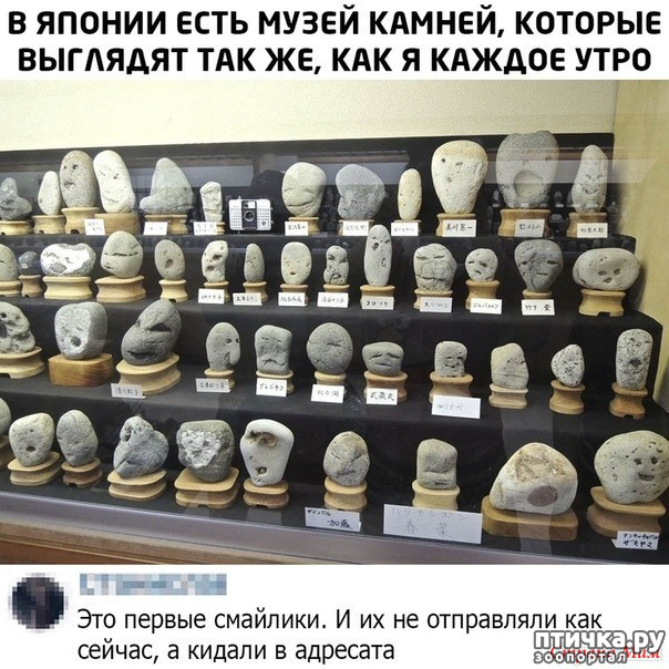 ���� 44: ������� � ������ ������ 4