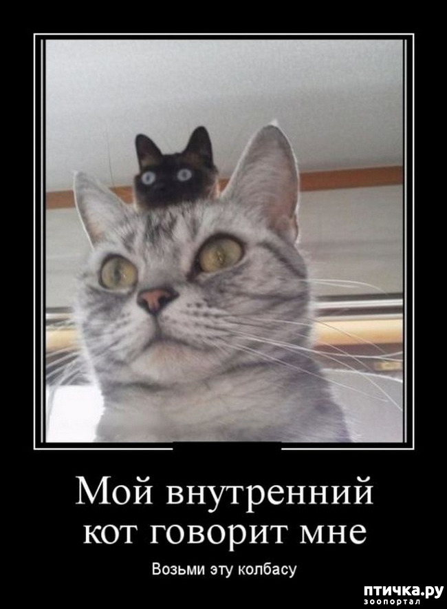 ���� 3: ������� � ������ ������ 4