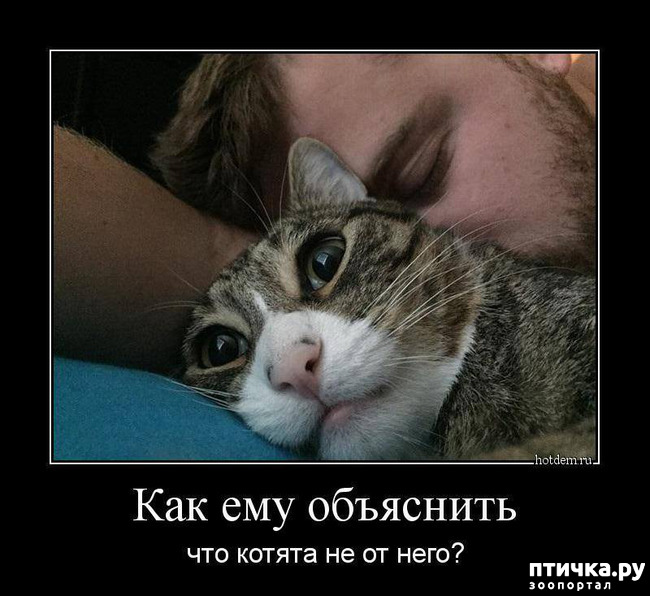 ���� 4: ������� � ������ ������ 4