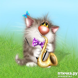 ���� 1: �� ������ ������ ���� �������!