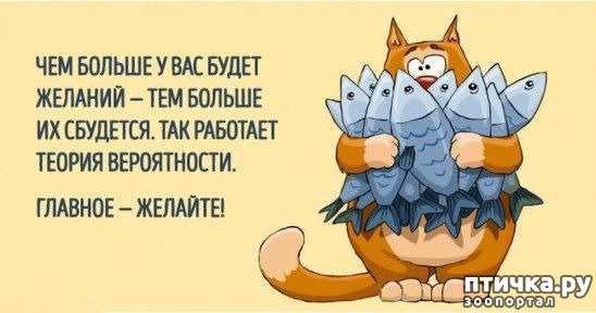 ���� 3: ������ �� ������ ����