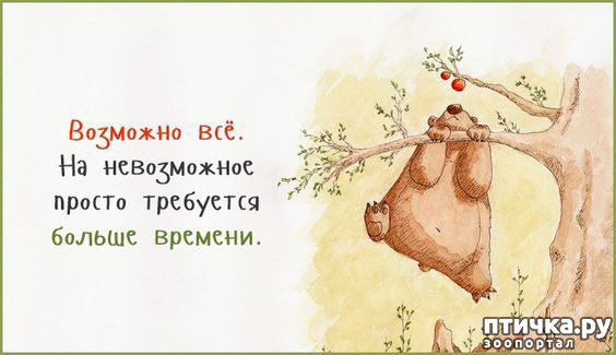 ���� 4: ������ �� ������ ����