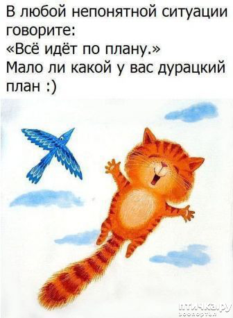 ���� 5: ������ �� ������ ����