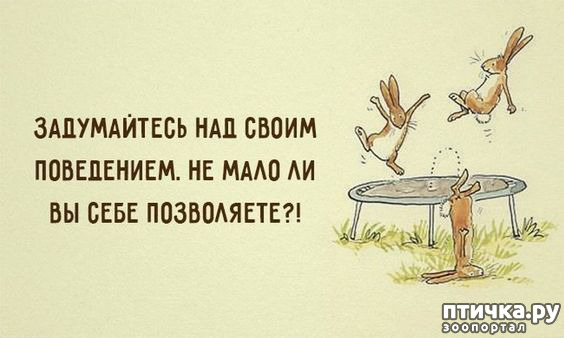 ���� 6: ������ �� ������ ����