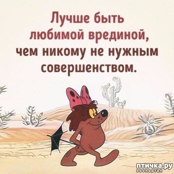 ���� 7: ������ �� ������ ����