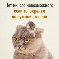 ���� 11: ������ �� ������ ����