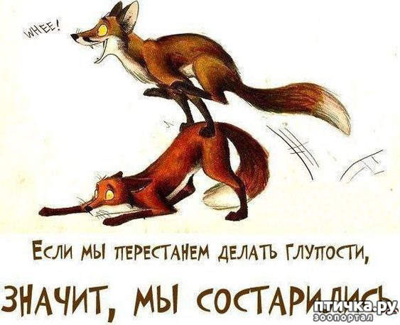 ���� 12: ������ �� ������ ����