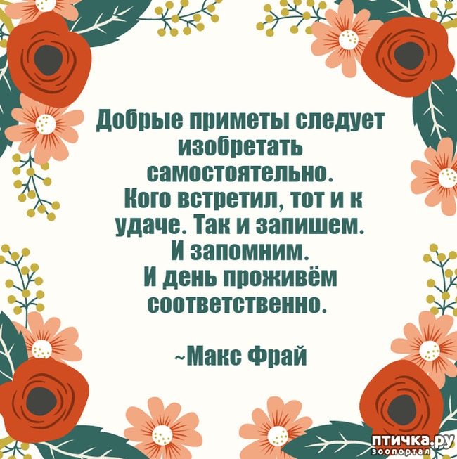 ���� 13: ������ �� ������ ����