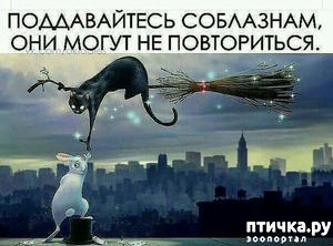 фотография: Советы на каждый день фото: Советы на каждый день